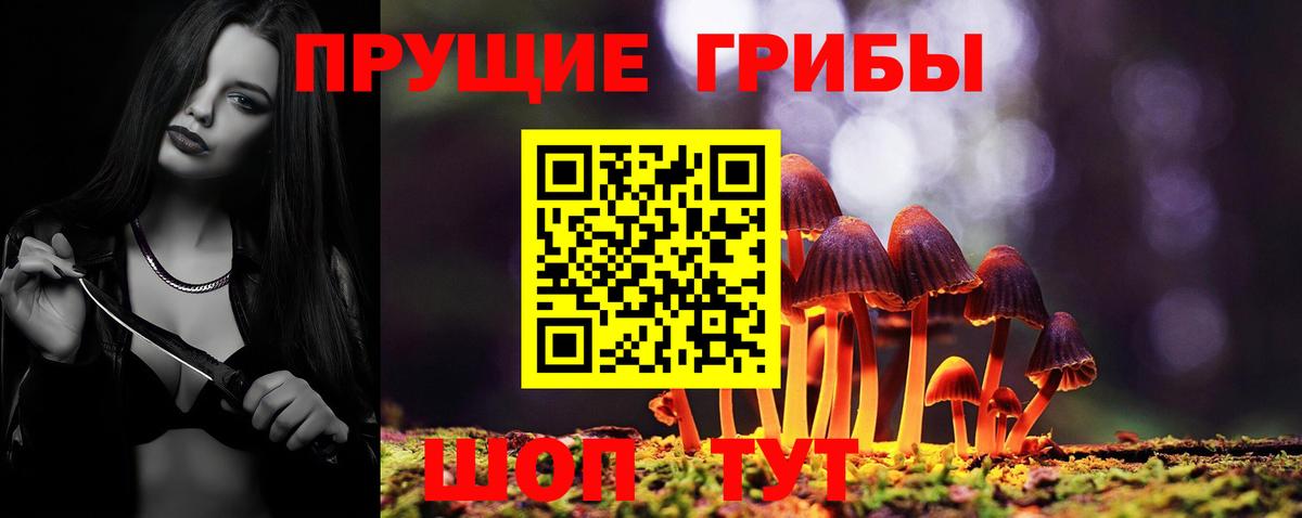 Галлюциногенные грибы прущие грибы Советский
