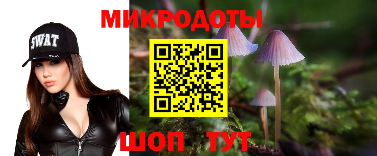 Галлюциногенные грибы Psilocybe  Вход с VPN  Советский  Псилоцибиновые грибы мицелий 